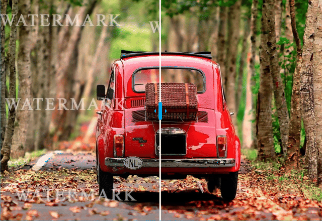 Act now before it's too late.